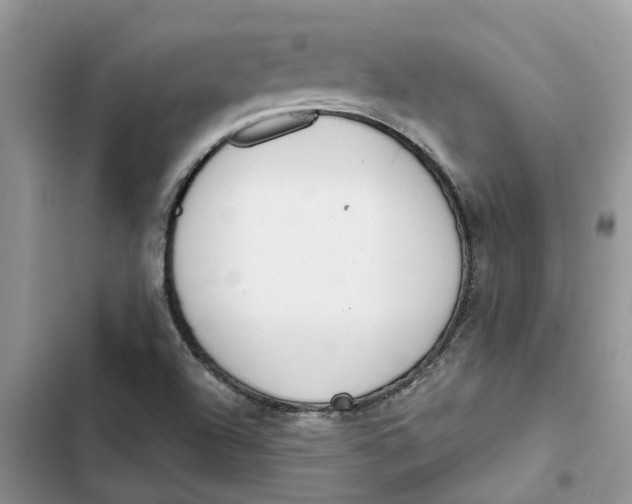 X0000103281504200809191754