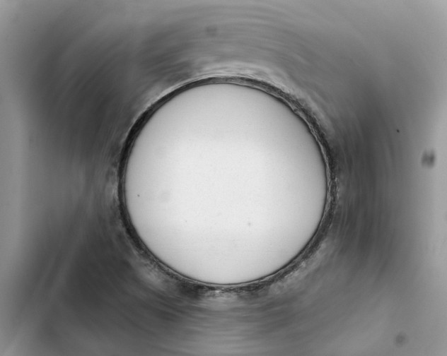 X0000103281505200809191754