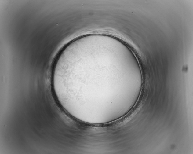 X0000103281506200809191754