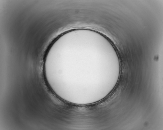 X0000103281507200809191754