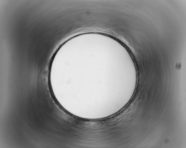 X0000103281508200809191754