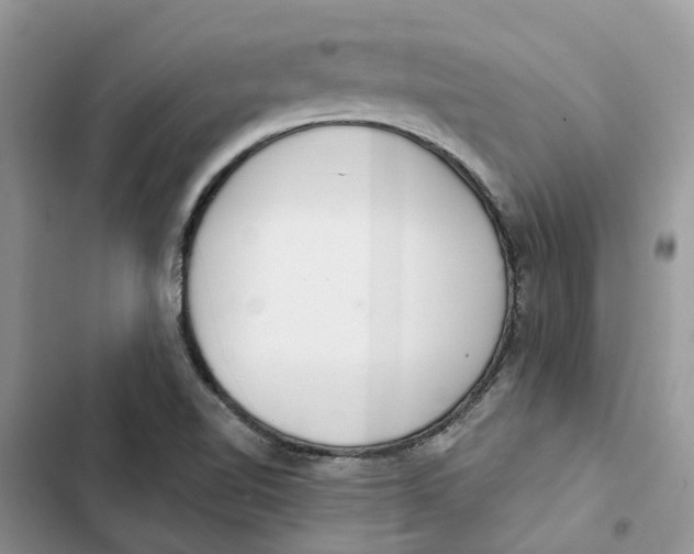 X0000103281510200809191754