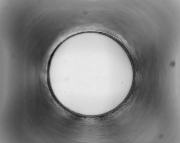 X0000103281512200809191754