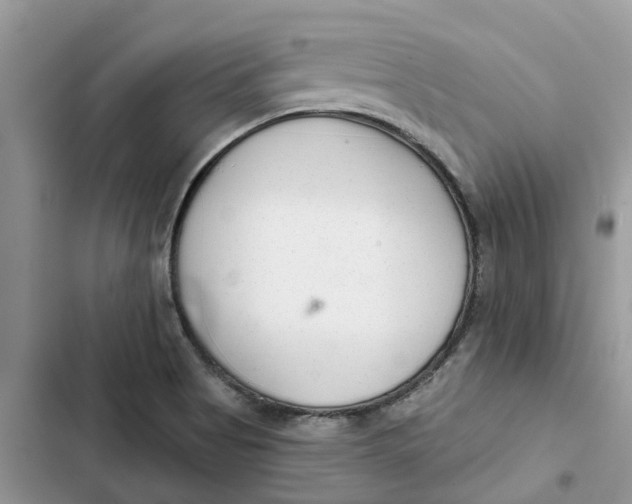 X0000103281513200809191754