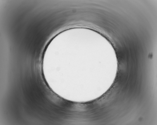 X0000103281514200809191754