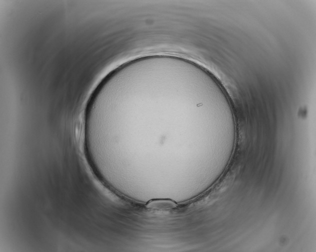 X0000103281515200809191754