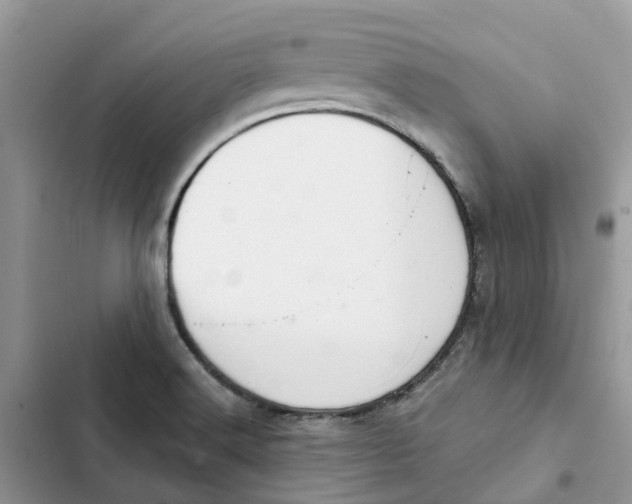 X0000103281516200809191754