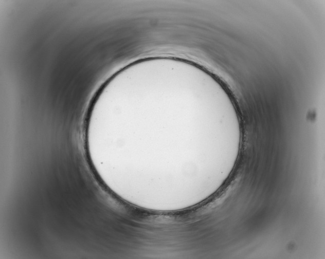 X0000103281517200809191754