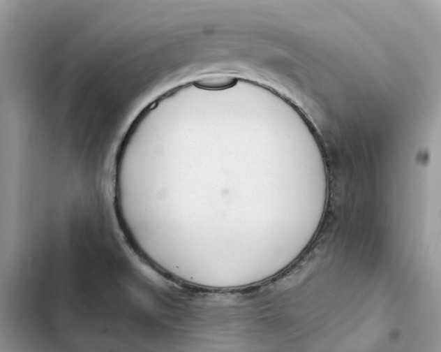 X0000103281519200809191754