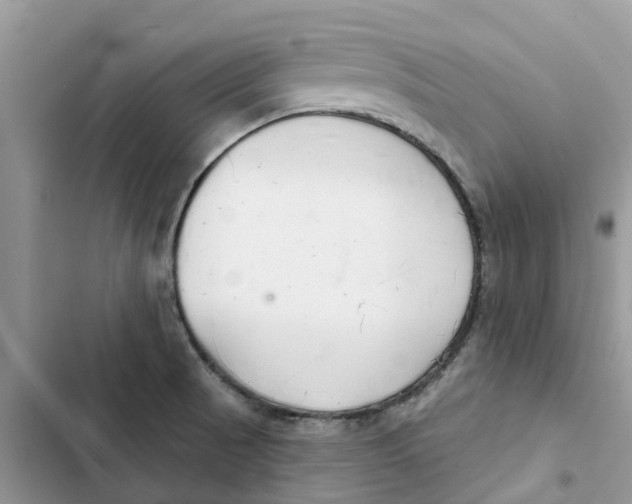 X0000103281521200809191754