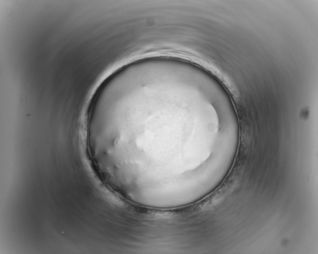 X0000103281522200809191754