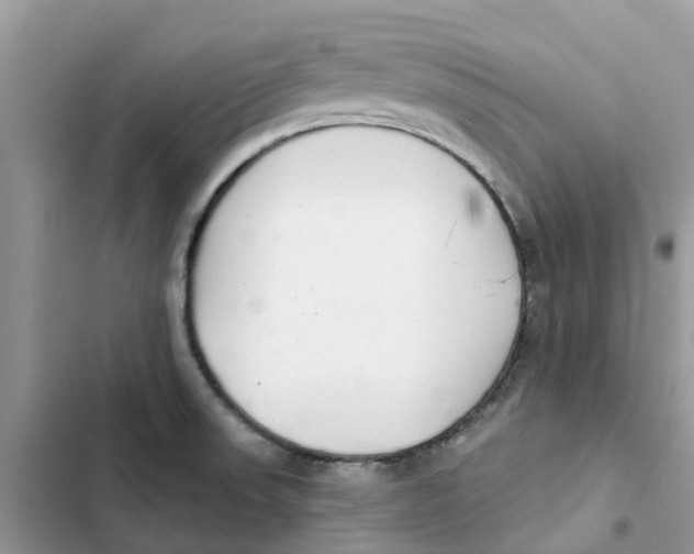 X0000103281523200809191754