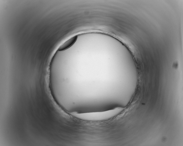 X0000103281524200809191754