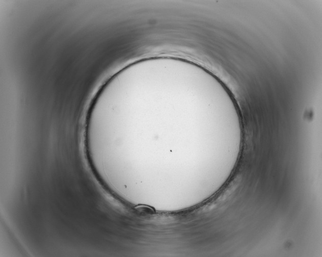 X0000103281525200809191754