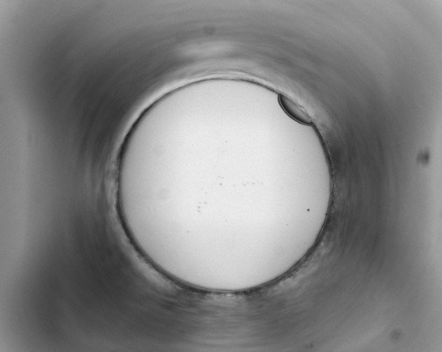 X0000103281526200809191754