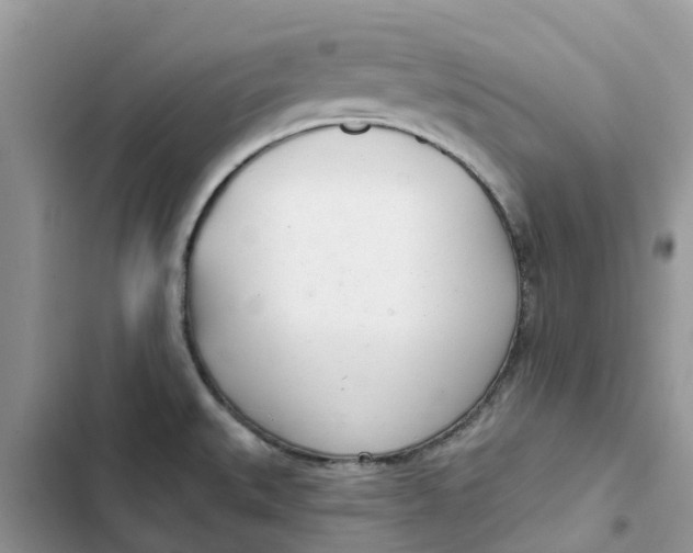 X0000103281527200809191754