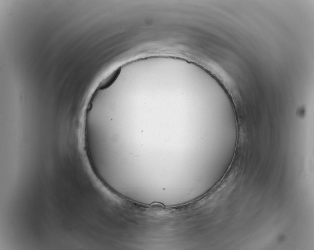 X0000103281528200809191754