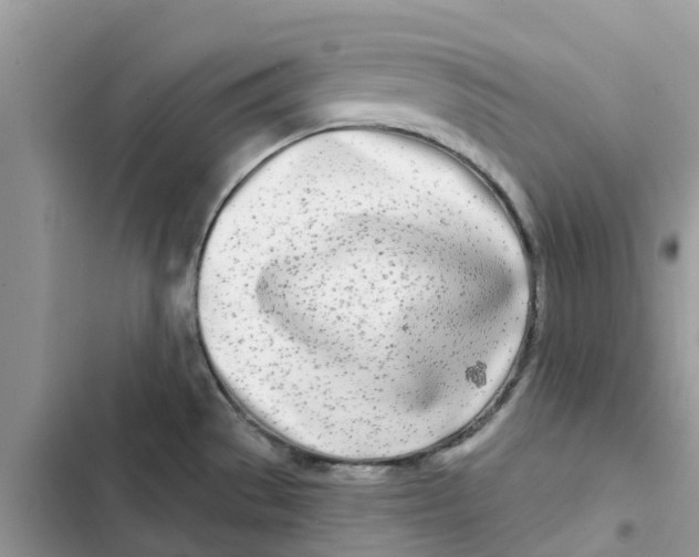 X0000103281529200809191754