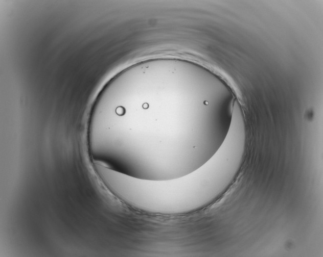 X0000103281530200809191754