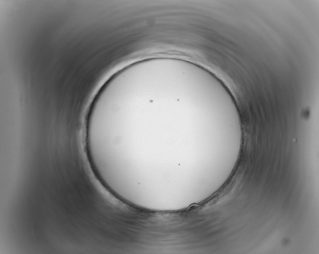 X0000103281531200809191754