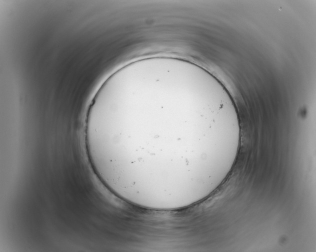 X0000103281532200809191754