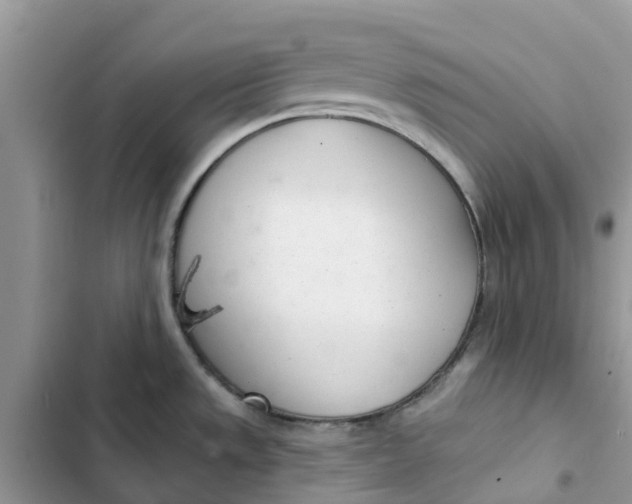 X0000103281533200809191754