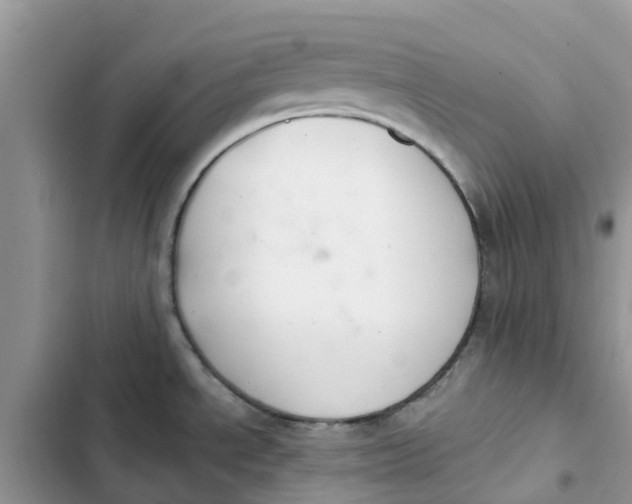 X0000103281534200809191754