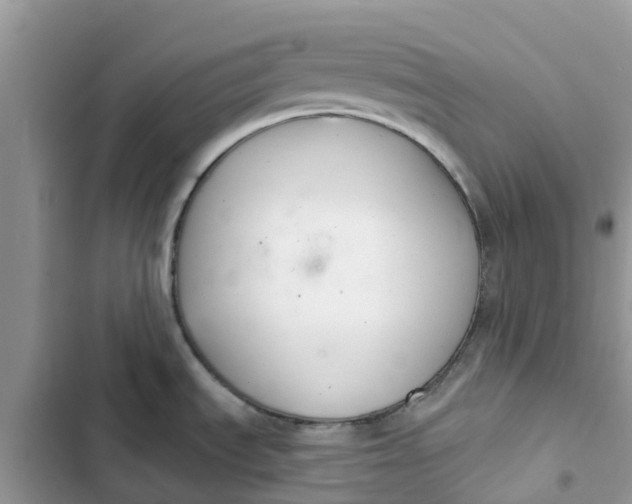 X0000103281535200809191754