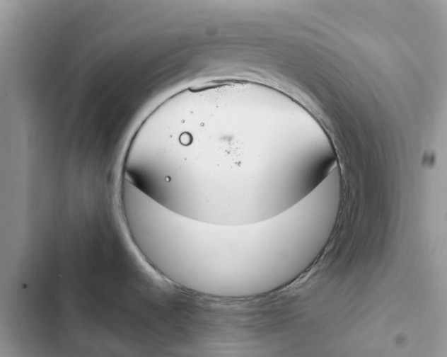 X0000103281536200809191754