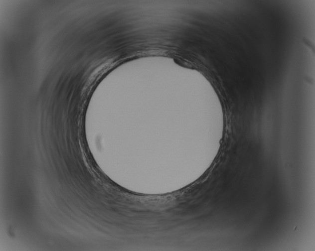 X0000103280001200809261237