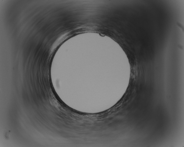 X0000103280004200809261237