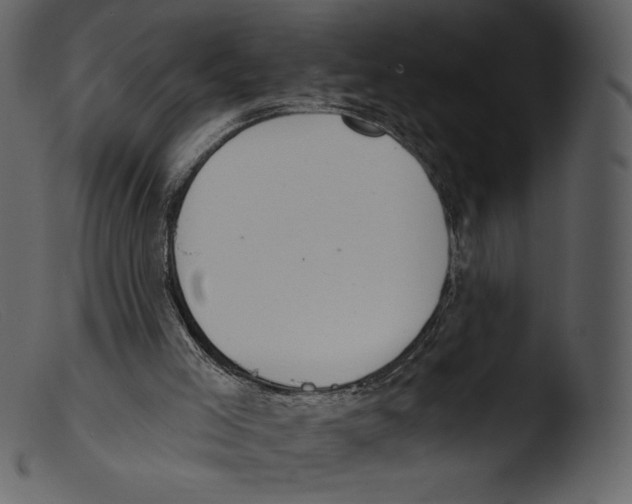 X0000103280005200809261237