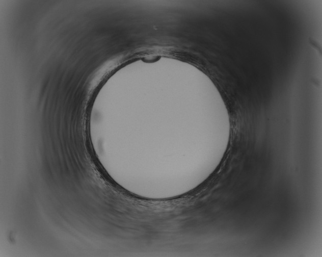 X0000103280006200809261237