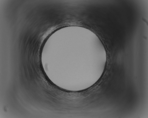 X0000103280008200809261237