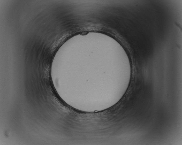 X0000103280009200809261237