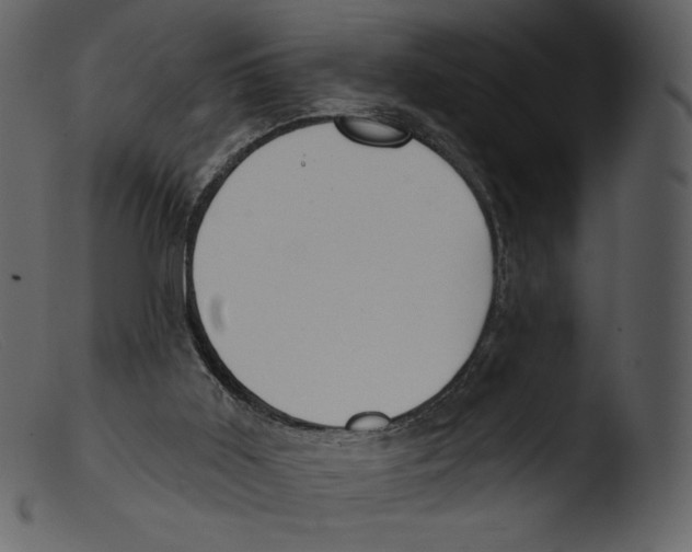 X0000103280011200809261237