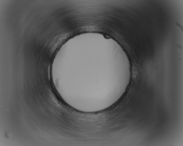 X0000103280014200809261237