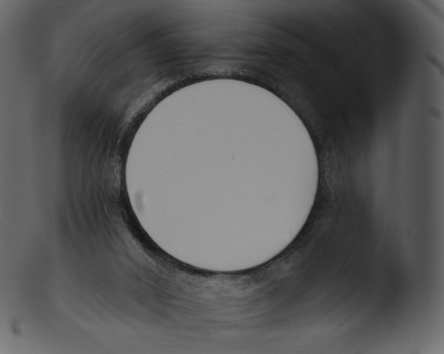 X0000103280016200809261237