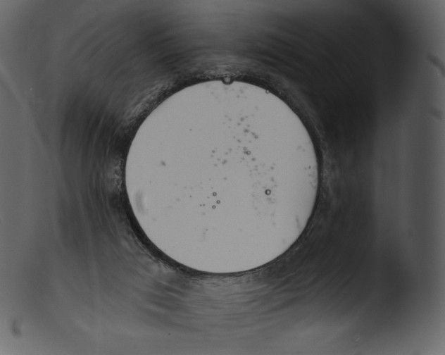 X0000103280017200809261237