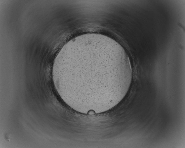 X0000103280018200809261237