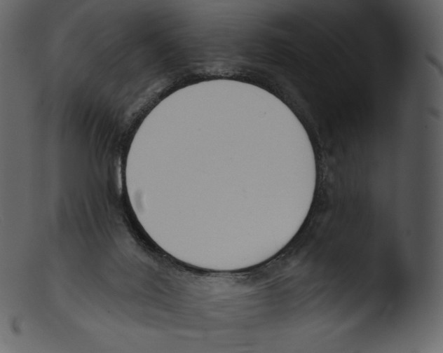 X0000103280020200809261237