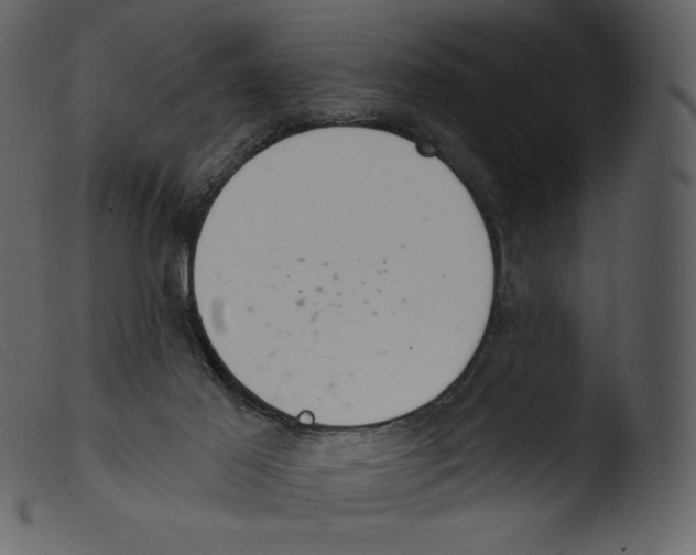 X0000103280021200809261237