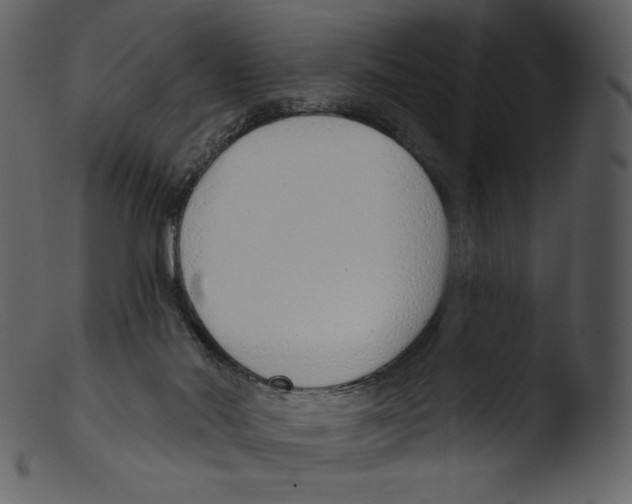 X0000103280022200809261237