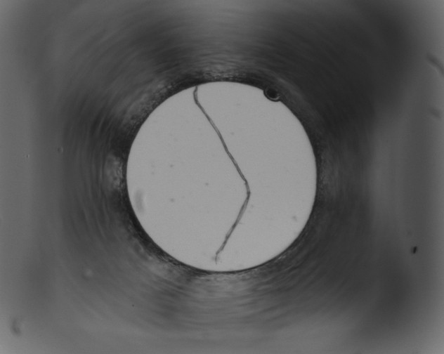 X0000103280025200809261237