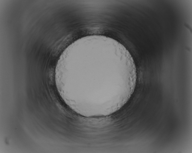 X0000103280026200809261237