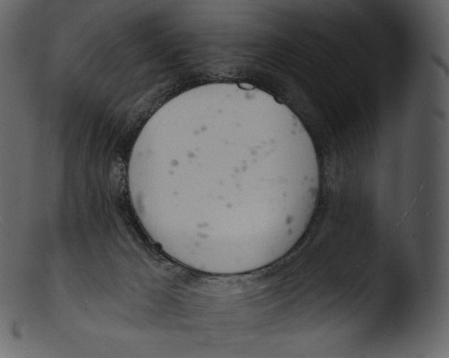 X0000103280029200809261237