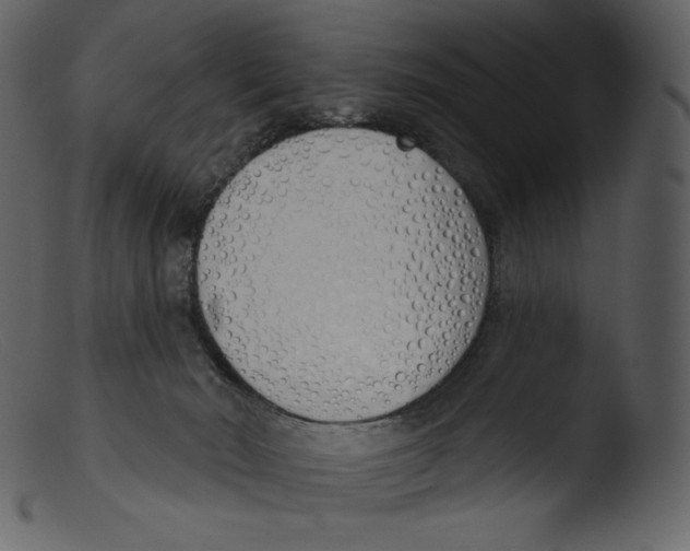 X0000103280030200809261237