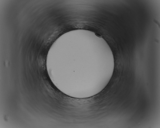 X0000103280031200809261236