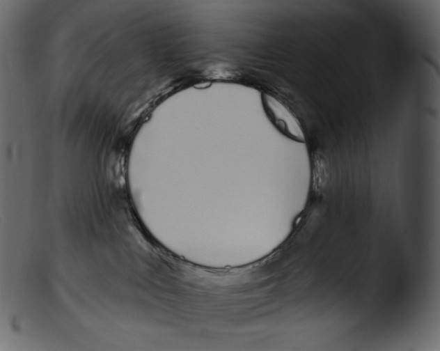 X0000103280043200809261236