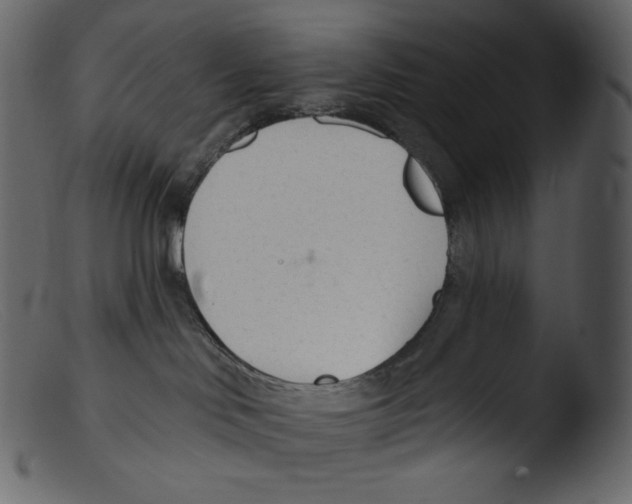 X0000103280046200809261236